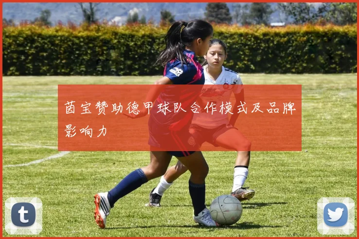 茵宝赞助德甲球队合作模式及品牌影响力
