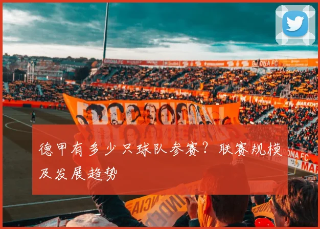 德甲有多少只球队参赛？联赛规模及发展趋势