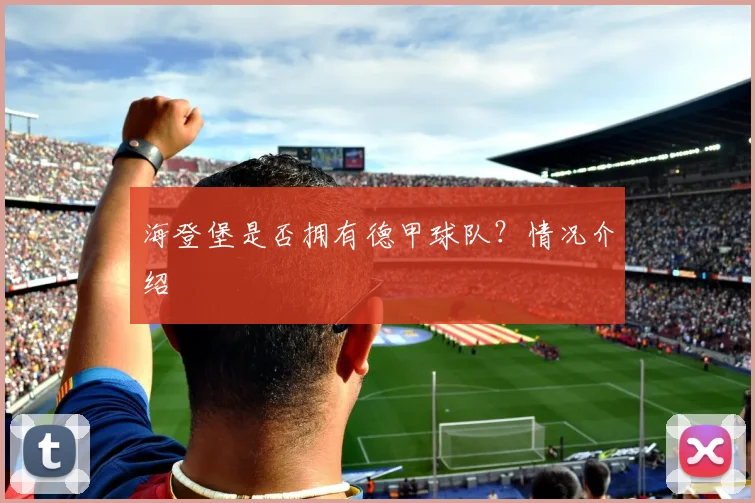 海登堡是否拥有德甲球队?情况介绍