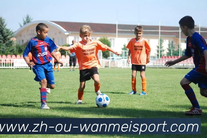 完美体育APP 高清赛事图