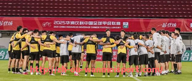 完美体育app-法甲球队球员特点分析及不同球员类型对球队战术的影响与适应